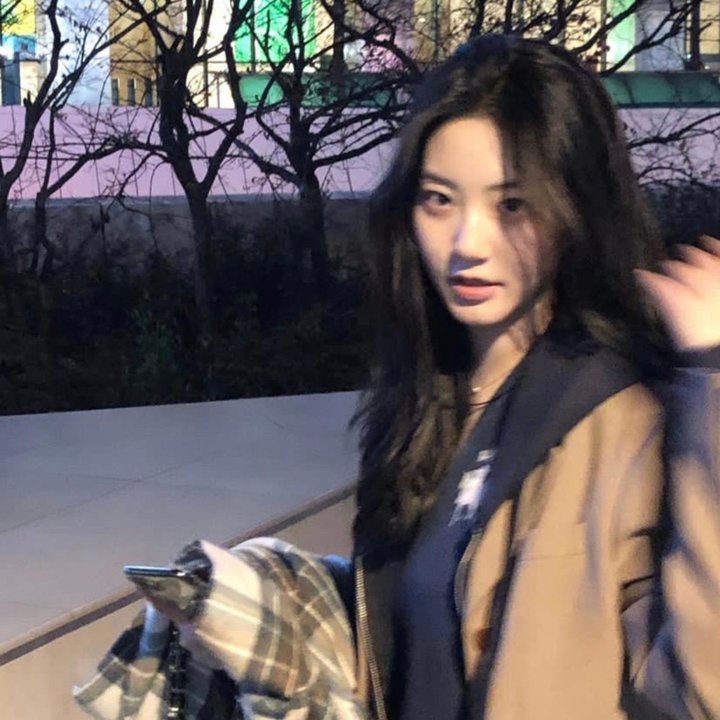 抱着黄金飞翔